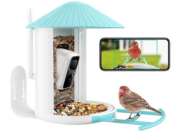 Smart bird feeder with camera.